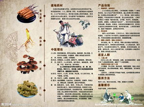 中草藥折頁圖片