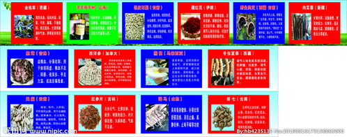 中草藥介紹圖片