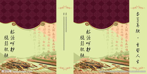 中藥中醫(yī)手提袋展開圖圖片