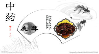 中藥圖片