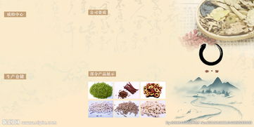 中藥三折頁圖片