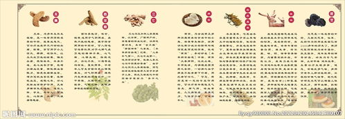中醫(yī)藥材文化 藥材簡介展板圖片