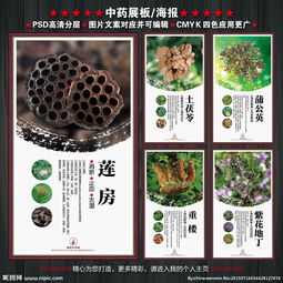 中藥展板圖片