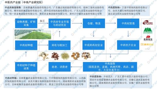 廣東發(fā)文促進(jìn)中醫(yī)藥傳承創(chuàng)新發(fā)展 中醫(yī)藥行業(yè)前景分析 圖
