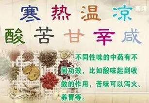 做合格黨員要勤修 四氣