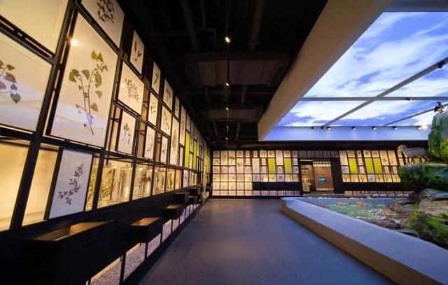 浙江中醫藥博物館(新館)開啦!今起對外開放,接受社會公眾預約,快來打卡