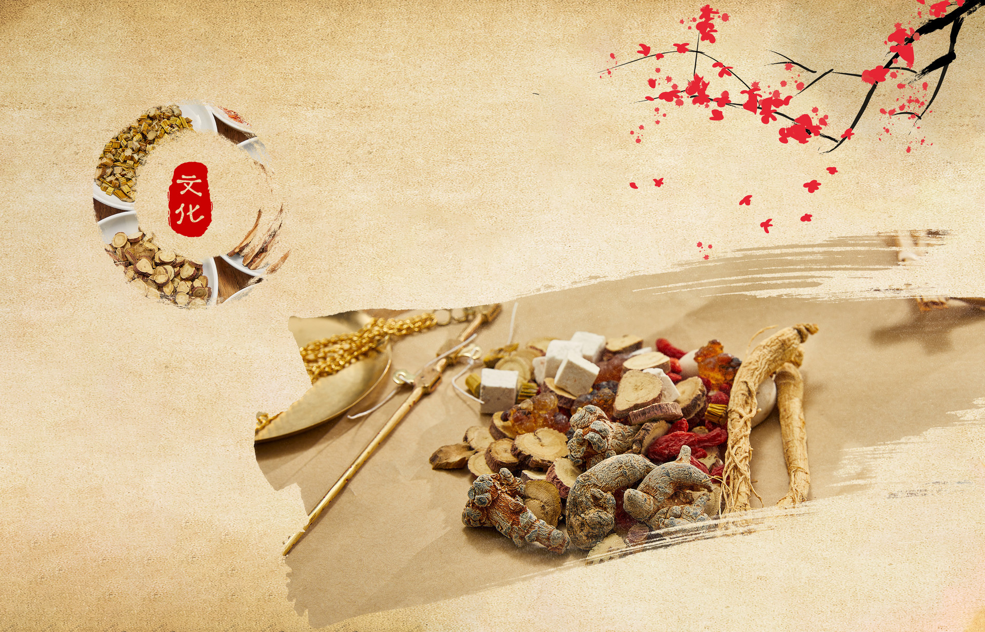大力實(shí)施"四大工程" 嶗山健全中醫(yī)藥發(fā)展體制機(jī)制 鳳凰網(wǎng)青島_鳳凰網(wǎng)