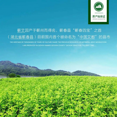重磅上新丨湖北蘄艾堂“會呼吸的艾草貼”正式上市!