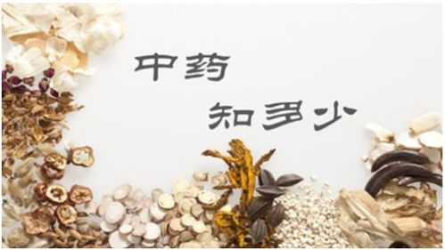 播撒中醫藥文化種子 上海中醫藥大學系列科普讀物獲上海科學技術普及一等獎