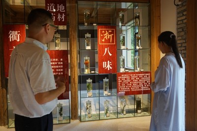 科技特派員韓強:用中醫藥文化點亮鄉村文旅