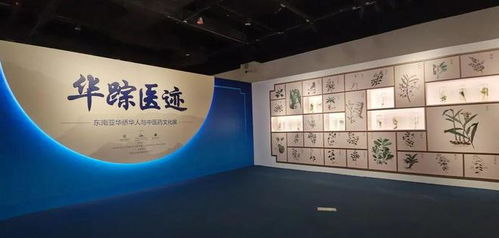 現(xiàn)代中醫(yī)藥走向世界 中醫(yī)藥在東南亞是如何傳播的