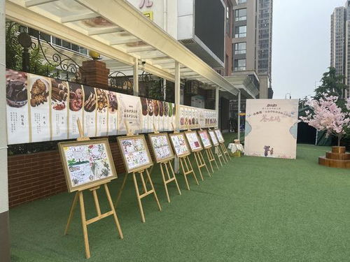 鄭州市金水區(qū)多舉措推動(dòng)中醫(yī)藥文化進(jìn)校園