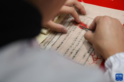 保護中醫古籍 傳承文化薪火