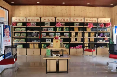 行業(yè)|東阿創(chuàng)新實踐發(fā)展 搭建文旅融合綜合性載體