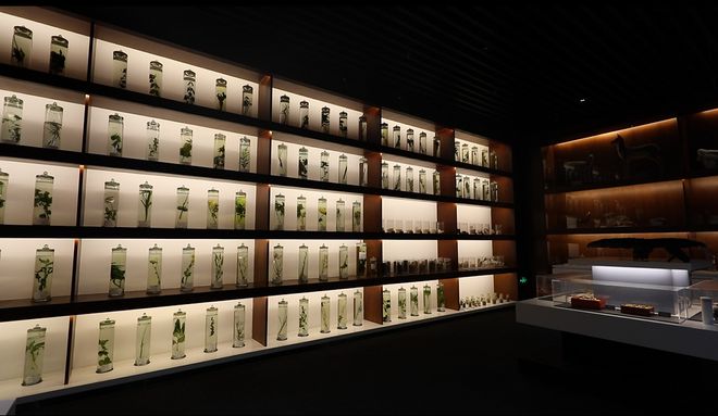 寬創國際博物館設計|北京中醫藥炮制技術博物館