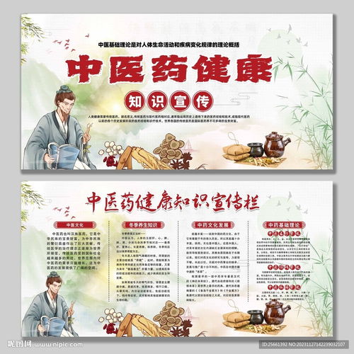 中醫藥健康知識宣傳設計圖